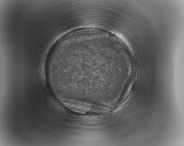 X0000089681120200707051601