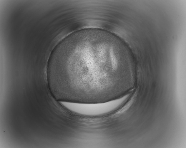 X0000089681121200707051601