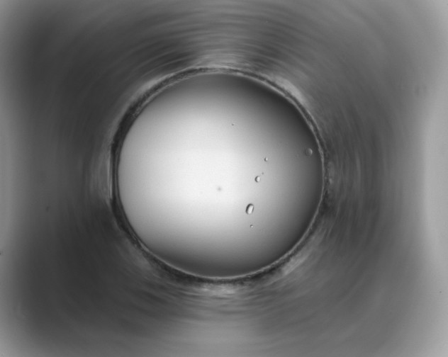 X0000089681123200707051601