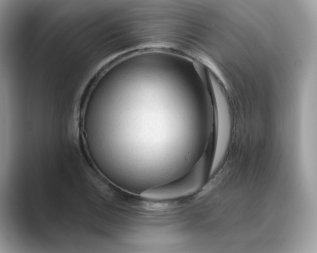 X0000089681124200707051601