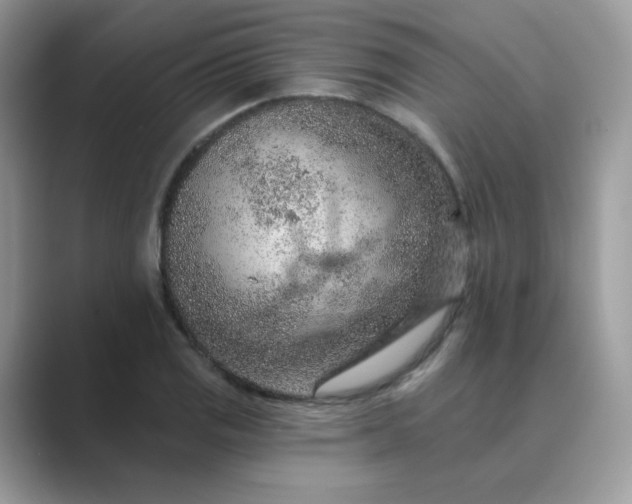 X0000089681125200707051601