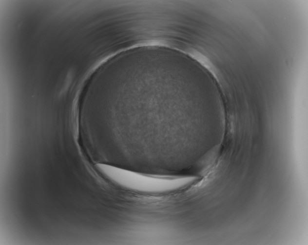 X0000089681127200707051602