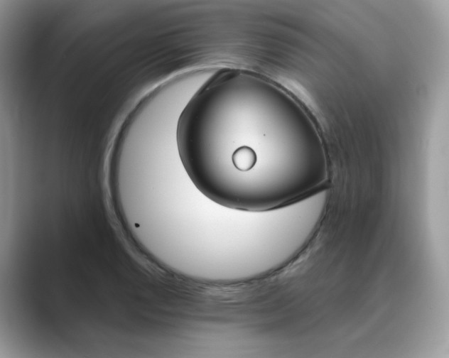X0000089681128200707051602