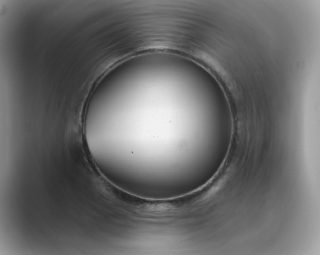 X0000089681129200707051602