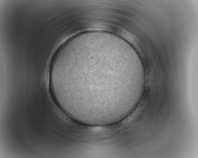 X0000089681130200707051602
