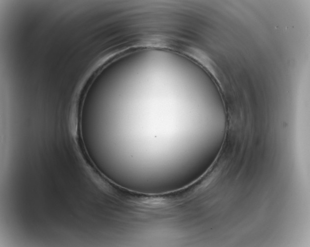 X0000089681131200707051602