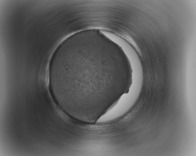 X0000089681132200707051602