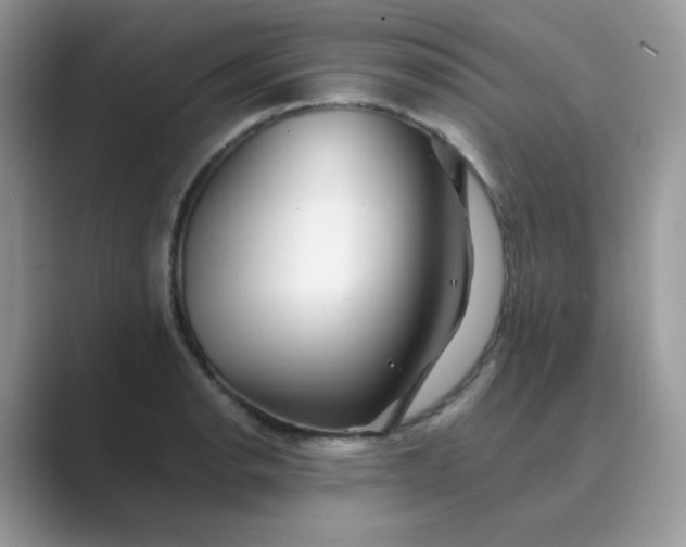 X0000089681134200707051602
