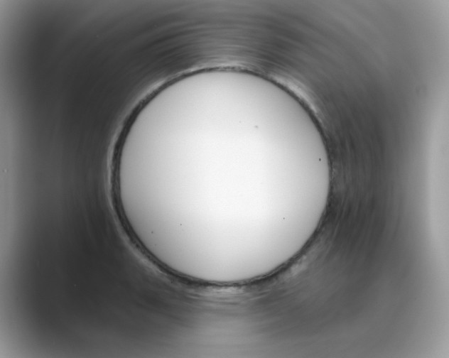 X0000089681135200707051602
