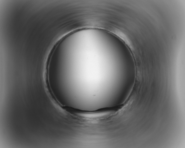 X0000089681136200707051602