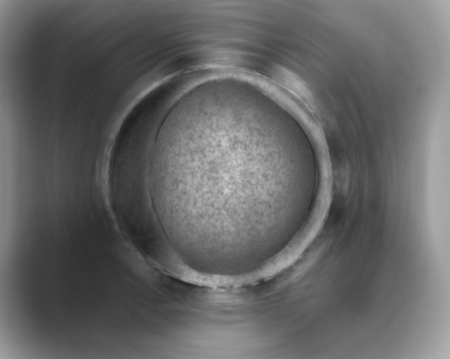 X0000089681138200707051602