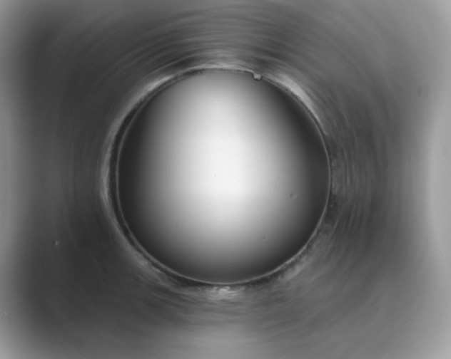 X0000089681139200707051602
