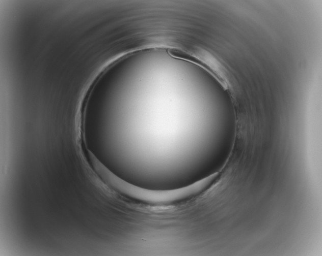 X0000089681140200707051602