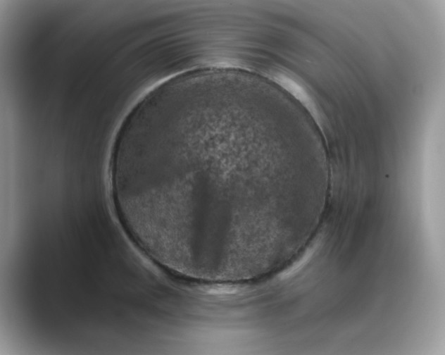 X0000089681141200707051602