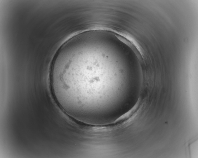 X0000089681142200707051602
