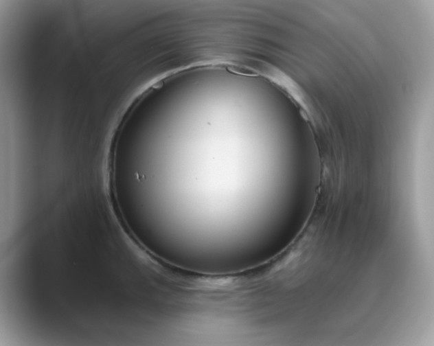 X0000089681143200707051602