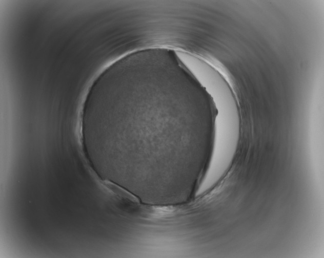X0000089681144200707051602