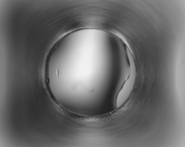 X0000089681147200707051602