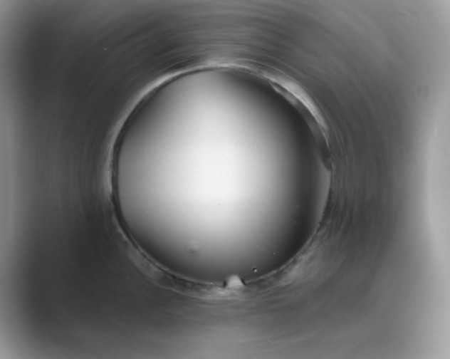 X0000089681148200707051602