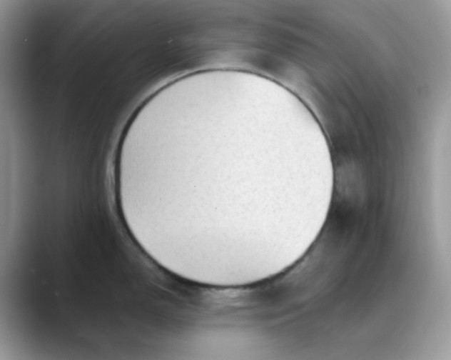 X0000089681150200707051602