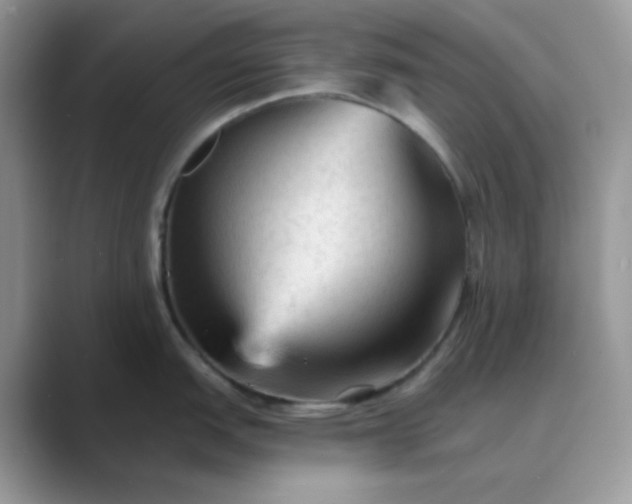 X0000089681151200707051602
