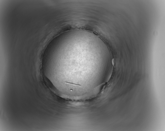 X0000089681153200707051601