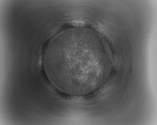 X0000089681154200707051601