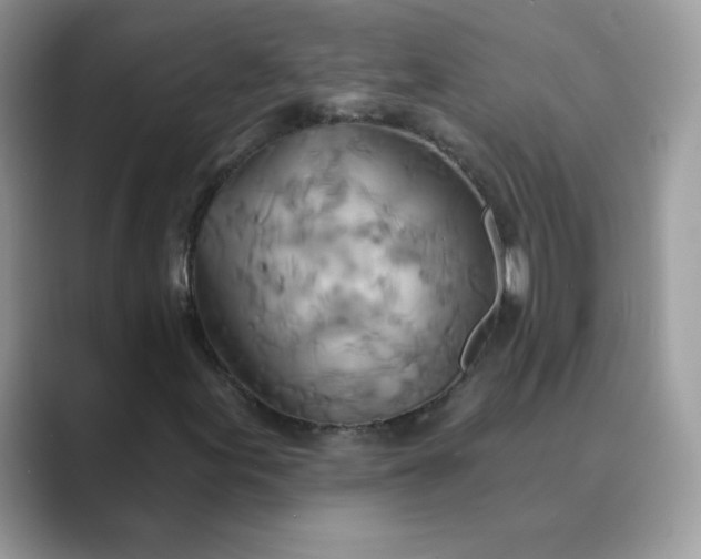 X0000089681155200707051601