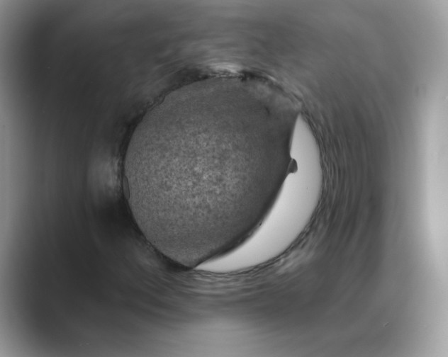 X0000089681156200707051601