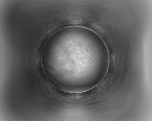 X0000089681158200707051601