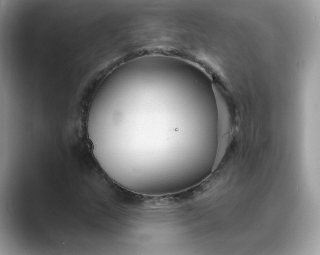 X0000089681159200707051601