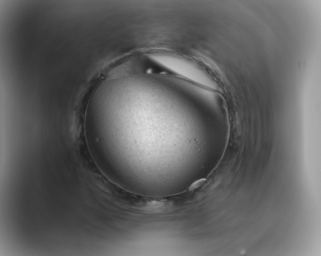 X0000089681160200707051601