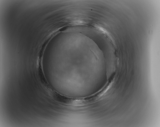 X0000089681161200707051601