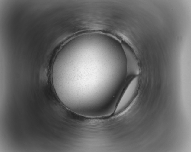 X0000089681163200707051601