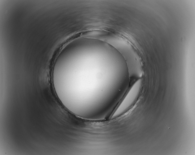 X0000089681164200707051601
