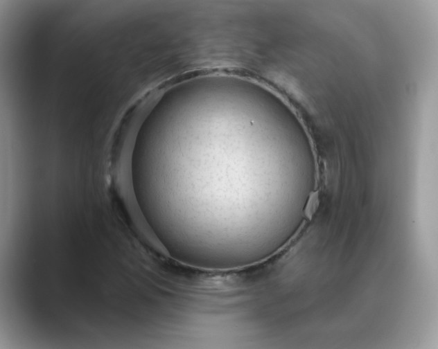 X0000089681165200707051601