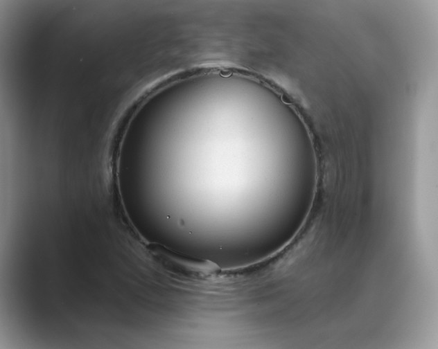 X0000089681167200707051601