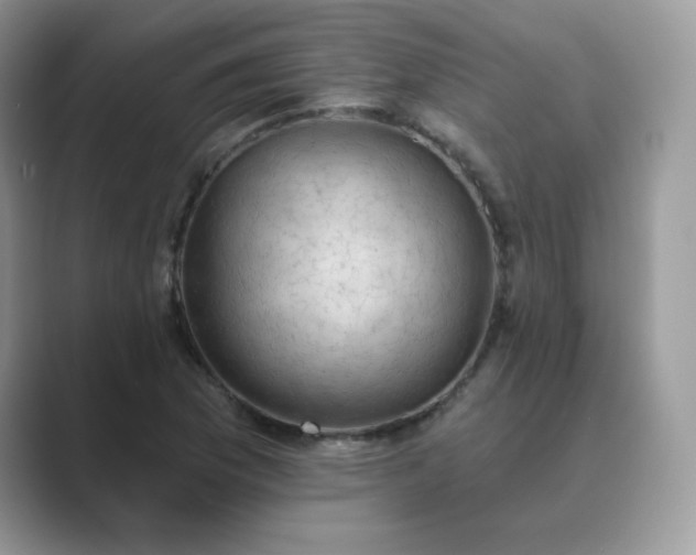 X0000089681169200707051601