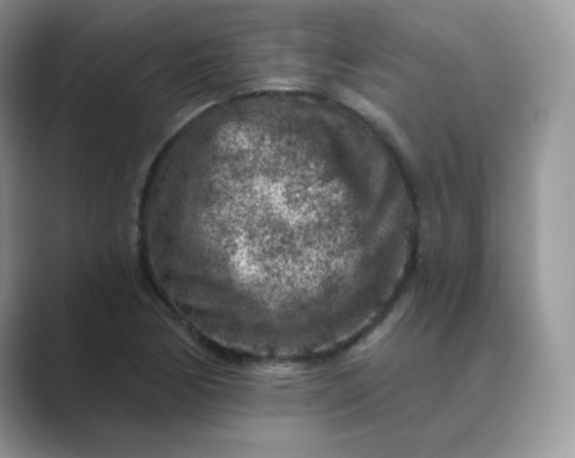 X0000089681170200707051601