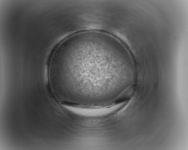 X0000089681171200707051601