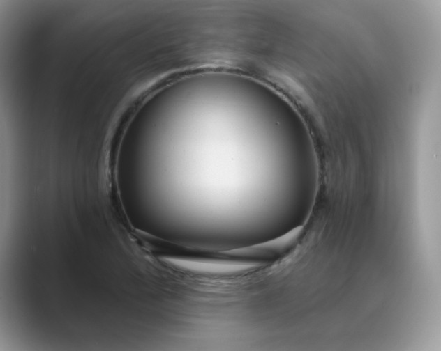 X0000089681172200707051601