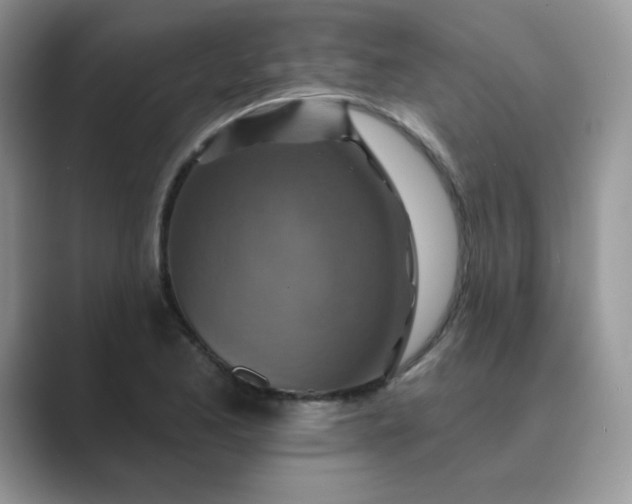 X0000089681173200707051601