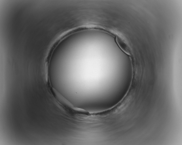 X0000089681175200707051601