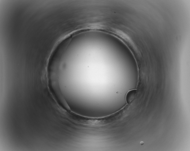 X0000089681176200707051601
