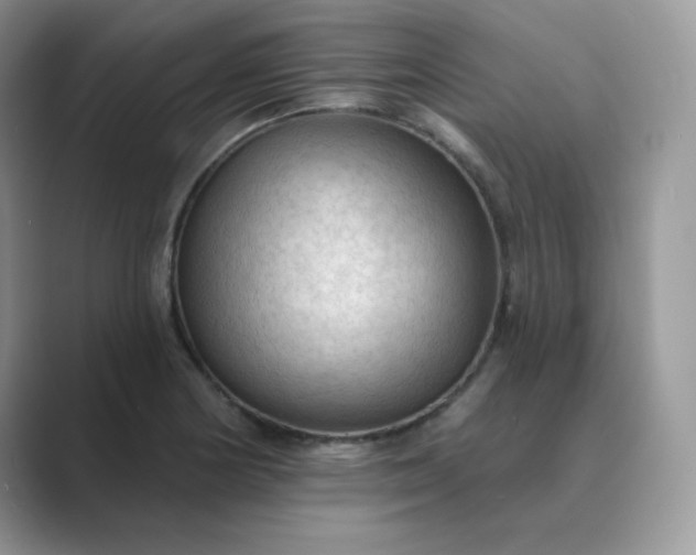 X0000089681178200707051601