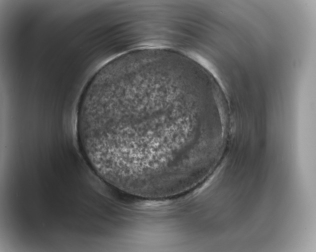 X0000089681179200707051601