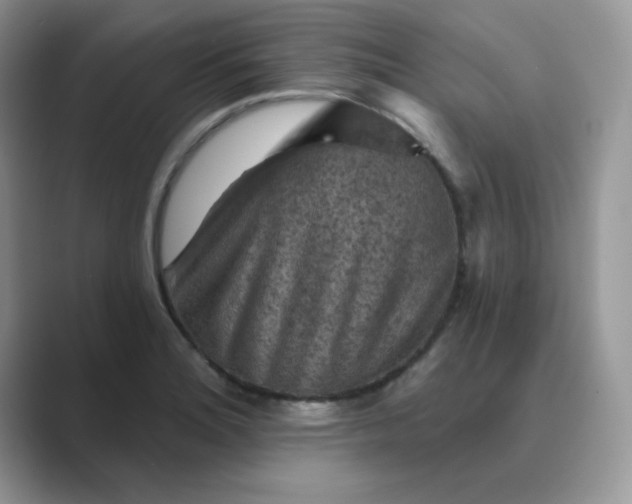 X0000089681180200707051601