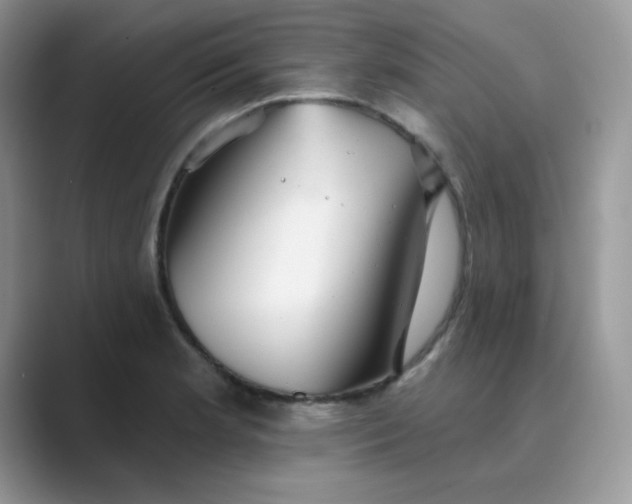 X0000089681181200707051601