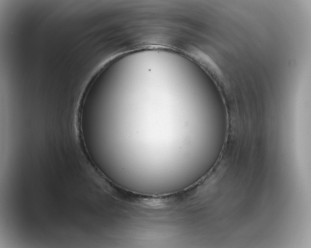 X0000089681182200707051601