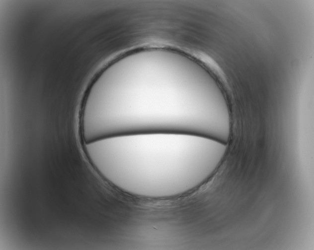 X0000089681183200707051601